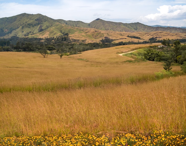 Bushbata village field at sunset in Papua New Guinea
