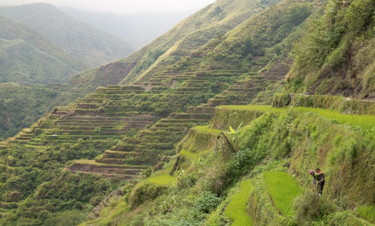 Rice terraces of Luzon, Philippines