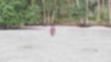 Blurred image of an upcoming story