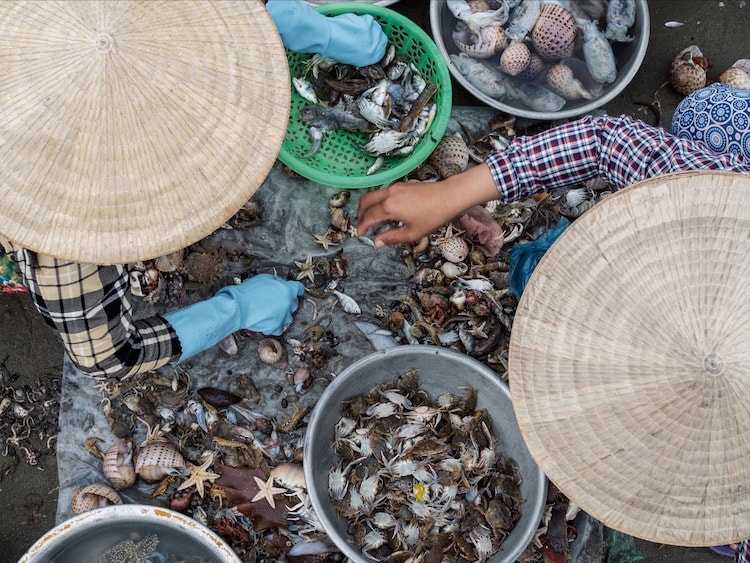 Two women sorting their catch from the previous night in Mui Ne, Vietnam