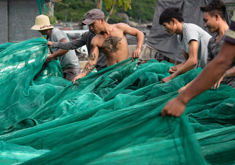 Men sorting a huge green net in Vinh Hy, Vietnam