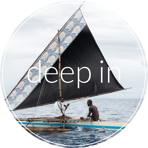 Deep In´s Logo